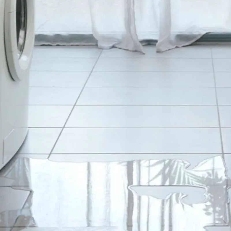 Appliance Leak Cleanup in Springhill, LA