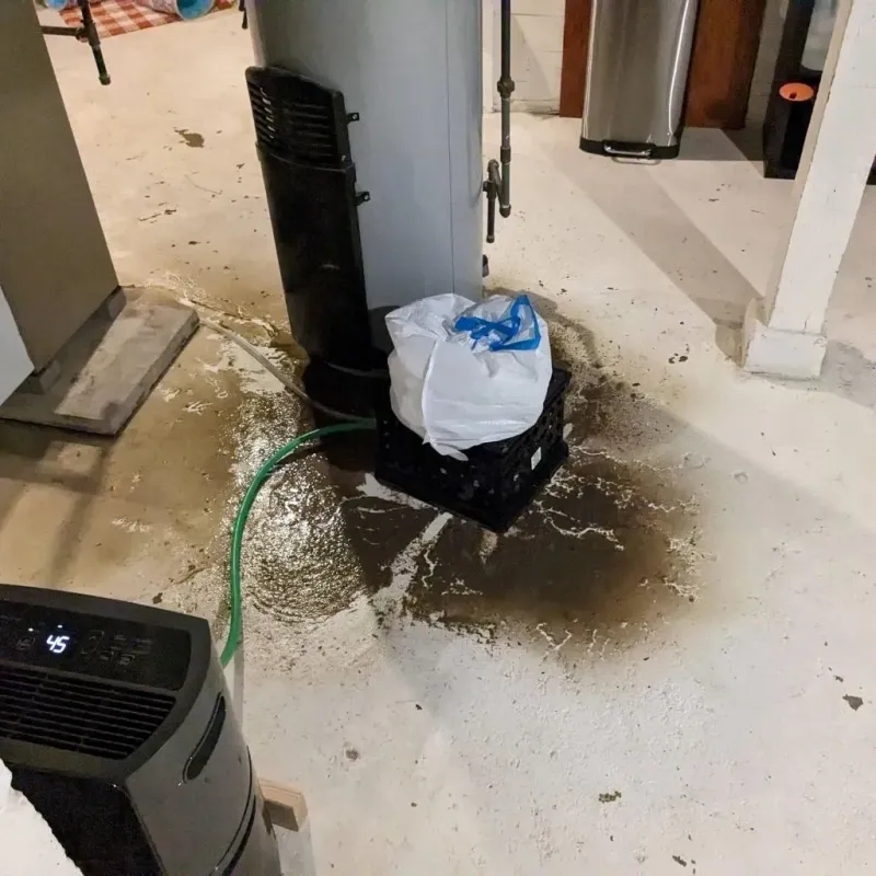 Sewage Backup Cleanup Service in Springhill, LA